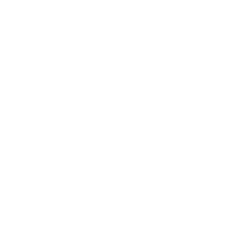 Logo 100 Aniversario